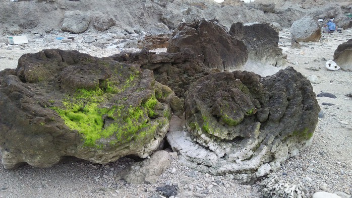Ngắm khu nghĩa địa san hô hóa thạch 6 ngàn năm tuổi trên đảo Lý Sơn - Ảnh 2.