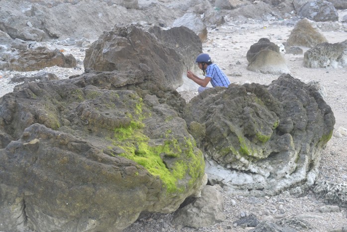 Ngắm khu nghĩa địa san hô hóa thạch 6 ngàn năm tuổi trên đảo Lý Sơn - Ảnh 5.