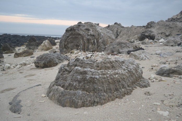 Ngắm khu nghĩa địa san hô hóa thạch 6 ngàn năm tuổi trên đảo Lý Sơn - Ảnh 8.