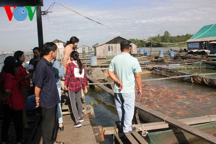 Chùm ảnh khám phá, trải nghiệm Cồn Sơn - Ảnh 2. Chùm ảnh khám phá, trải nghiệm Cồn Sơn - Ảnh 2.
