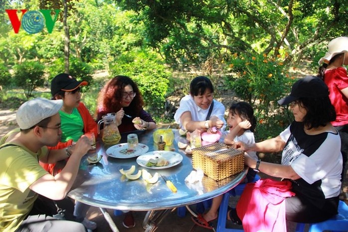 Chùm ảnh khám phá, trải nghiệm Cồn Sơn - Ảnh 5. Chùm ảnh khám phá, trải nghiệm Cồn Sơn - Ảnh 5.