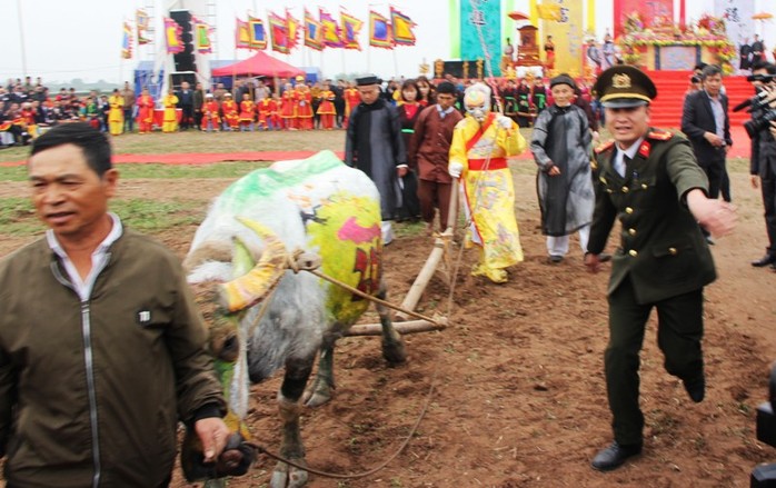 3 trâu đoạt giải trang trí vinh dự cày ruộng trong lễ hội Tịch Điền - Ảnh 3.