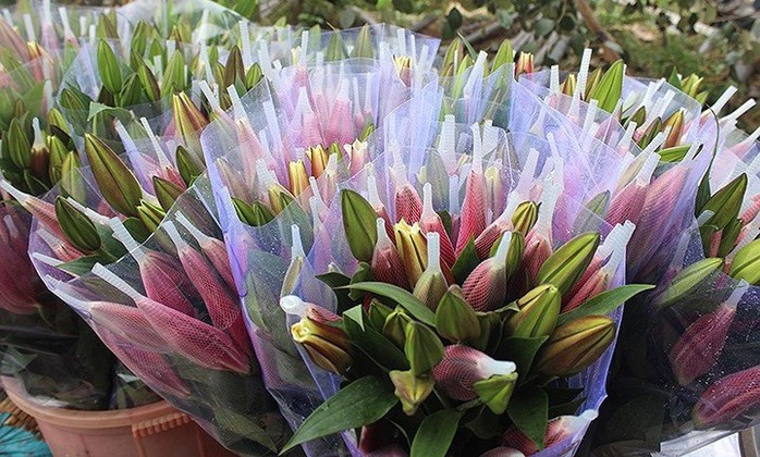 Những nông sản rớt giá thê thảm sau Tết Nguyên đán - Ảnh 3. Những nông sản rớt giá thê thảm sau Tết Nguyên đán - Ảnh 3.