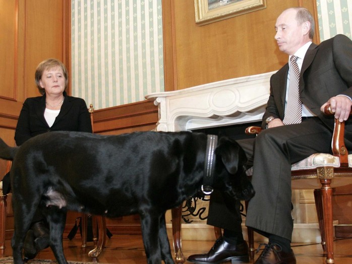 Chó cưng của Tổng thống Putin - Ảnh 2.