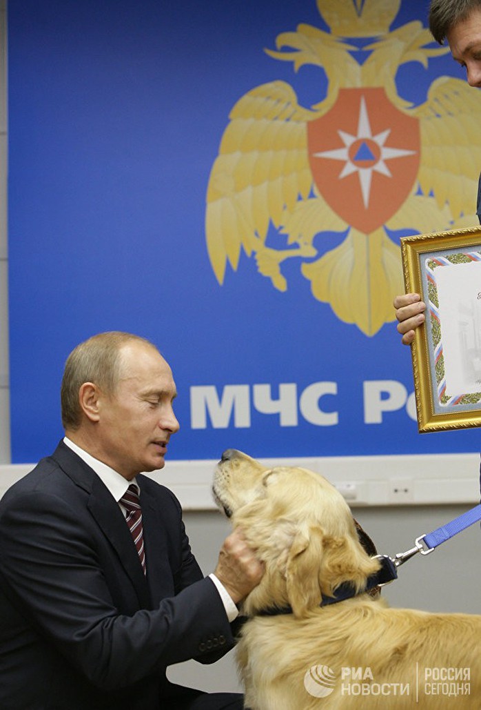 Chó cưng của Tổng thống Putin - Ảnh 10.