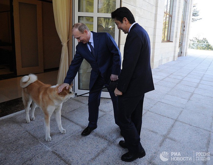 Chó cưng của Tổng thống Putin - Ảnh 4.