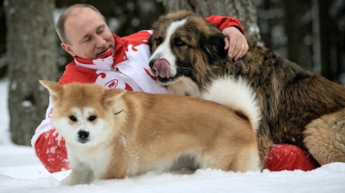 Chó cưng của Tổng thống Putin - Ảnh 6.