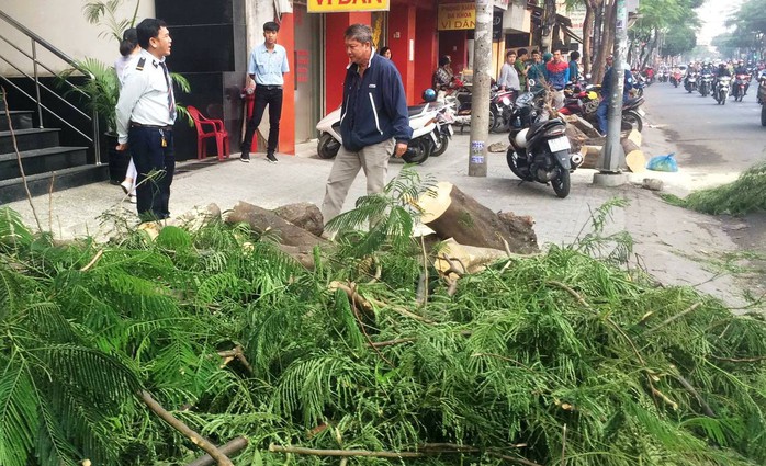 Cây xanh bật gốc quật trúng 2 người sáng tiễn ông Táo - Ảnh 2.