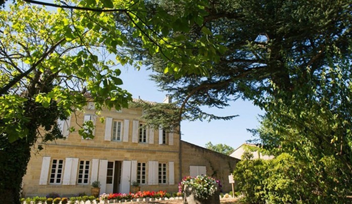 Ngắm vườn nho đắt giá của Triệu Vy trong lâu đài tại Pháp - Ảnh 2.