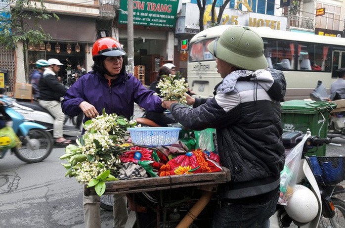 Truy tìm nguồn gốc hoa bưởi bán đầy phố Hà thành - Ảnh 5. Truy tìm nguồn gốc hoa bưởi bán đầy phố Hà thành - Ảnh 5.