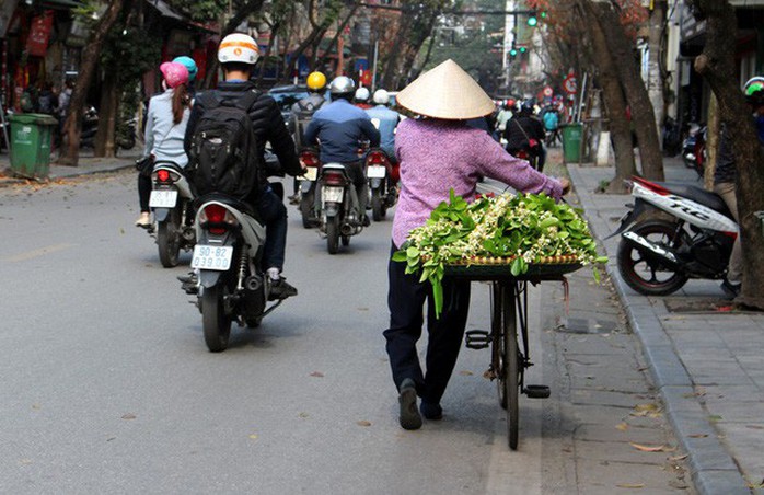 Truy tìm nguồn gốc hoa bưởi bán đầy phố Hà thành - Ảnh 8. Truy tìm nguồn gốc hoa bưởi bán đầy phố Hà thành - Ảnh 8.