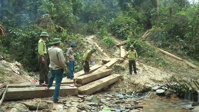 Phát hiện vụ xẻ thịt rừng phòng hộ lớn nhất tỉnh Quảng Bình - Ảnh 3.