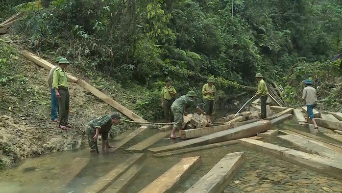 Phát hiện vụ xẻ thịt rừng phòng hộ lớn nhất tỉnh Quảng Bình - Ảnh 9.