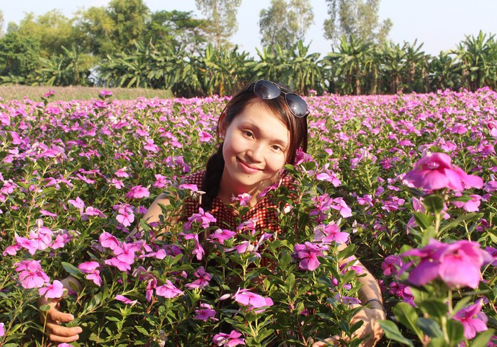 Cận cảnh cánh đồng hoa dừa cạn vạn người mê ở miền Tây - Ảnh 17. Cận cảnh cánh đồng hoa dừa cạn vạn người mê ở miền Tây - Ảnh 17.