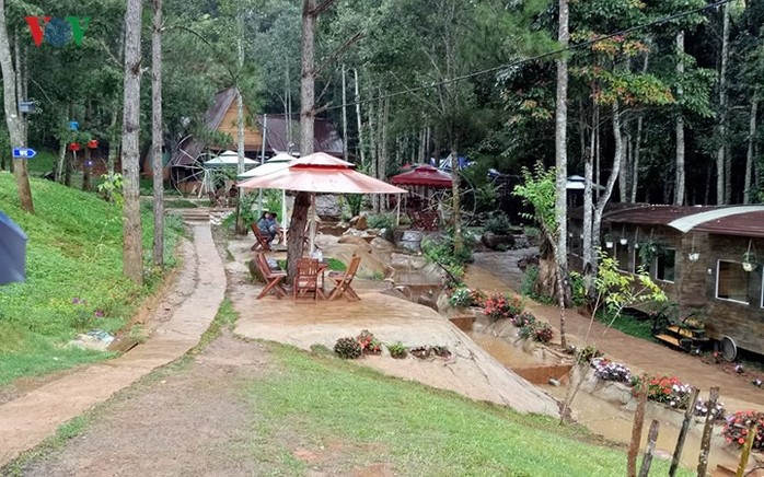 Trải nghiệm “chuyến tàu cà phê” độc nhất vô nhị ở Đà Lạt - Ảnh 5. Trải nghiệm “chuyến tàu cà phê” độc nhất vô nhị ở Đà Lạt - Ảnh 5.