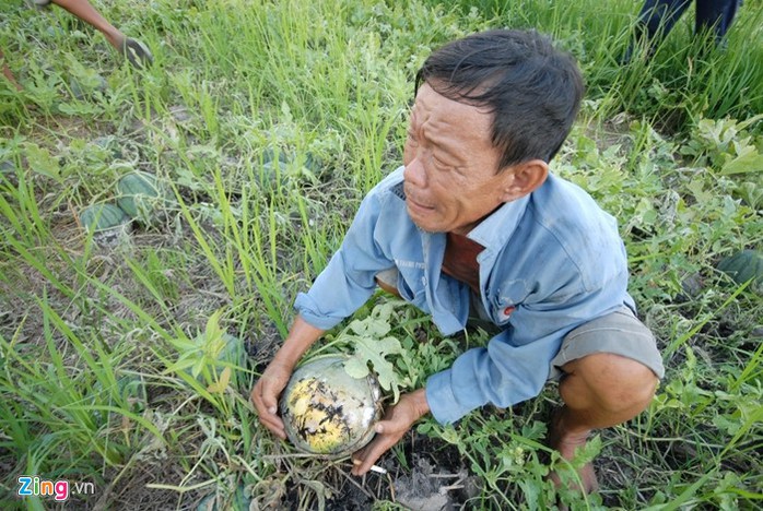 Cứu hành tím, dưa hấu, củ cải, khoai tây... đến bao giờ? - Ảnh 2.