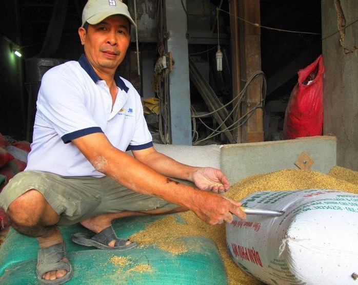 Một túi vàng bỏ quên trong bao lúa, nhiều người nhận là chủ nhân - Ảnh 1.