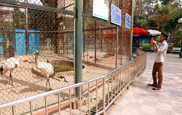 Ngắm loài chim cực quý, nằm trong sách đỏ thế giới - Ảnh 11. Ngắm loài chim cực quý, nằm trong sách đỏ thế giới - Ảnh 11.