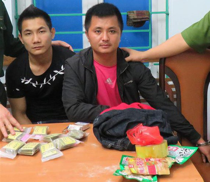Vận chuyển 179 gói ma túy lạ đông trùng cho người Trung Quốc - Ảnh 1.