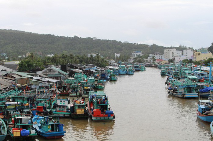 Phó Thủ tướng yêu cầu thanh tra việc quản lý, sử đất nông nghiệp ở Phú Quốc - Ảnh 1.