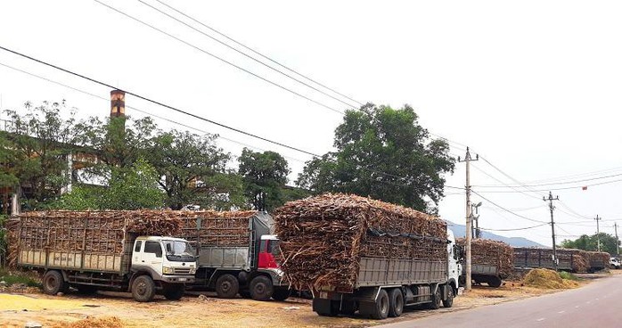 Niêm phong nhà máy đường gây ô nhiễm môi trường - Ảnh 2.