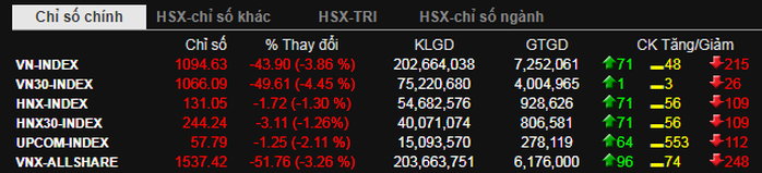 VN-Index bất ngờ rớt gần 44 điểm, dân chứng khoán bắt đầu lo sợ - Ảnh 1.