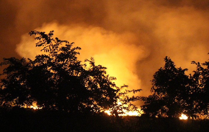 Khu rừng tràm ở Bình Chánh cháy ngùn ngụt trong đêm - Ảnh 1.