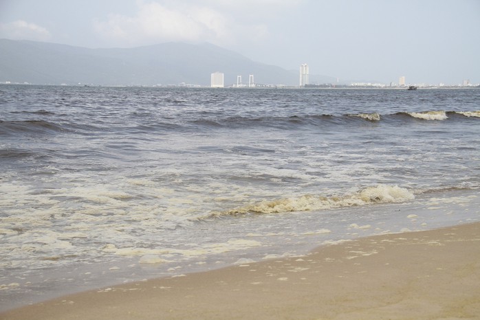 Phát hiện tảo giáp trong khu vực biển đổi màu bất thường ở Đà Nẵng - Ảnh 2.