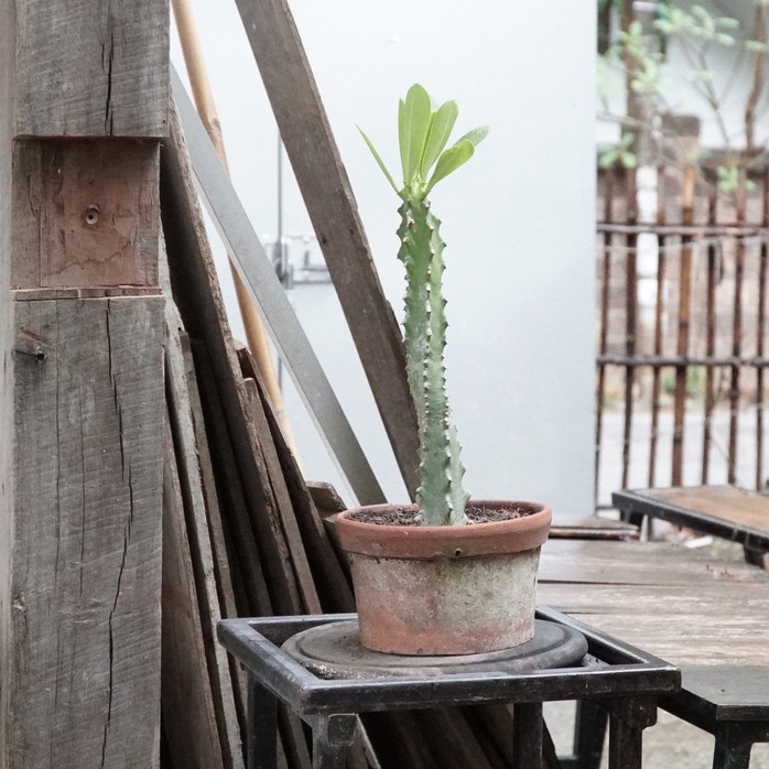 Điều cần biết cho người du lịch tự túc Chiang Mai - Thái Lan - Ảnh 21. Điều cần biết cho người du lịch tự túc Chiang Mai - Thái Lan - Ảnh 21.