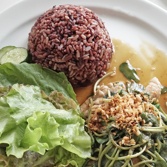 Điều cần biết cho người du lịch tự túc Chiang Mai - Thái Lan - Ảnh 34. Điều cần biết cho người du lịch tự túc Chiang Mai - Thái Lan - Ảnh 34.