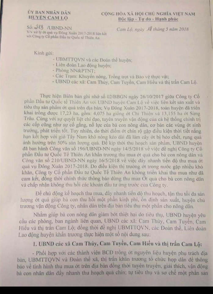 Doanh nghiệp không mua ớt như cam kết, hàng trăm nông dân khóc ròng - Ảnh 2.