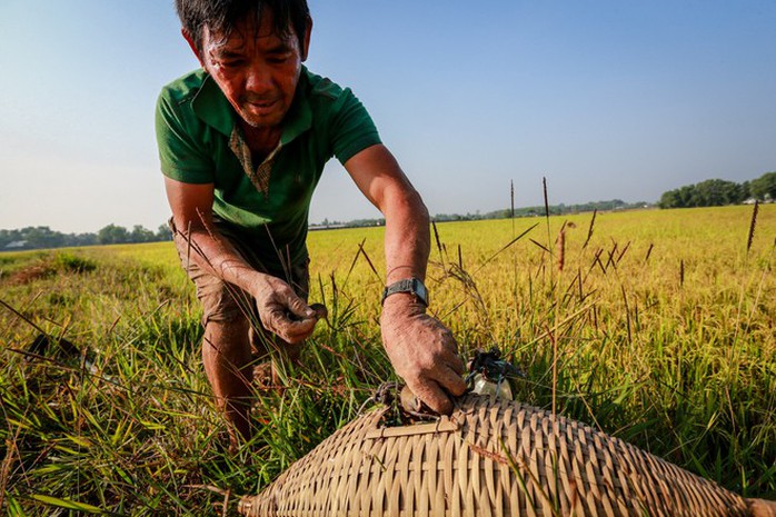 Cao thủ ngao du khắp Sài Gòn săn rắn, bắt chuột  - Ảnh 7.