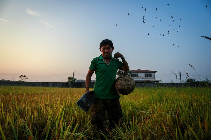 Cao thủ ngao du khắp Sài Gòn săn rắn, bắt chuột  - Ảnh 2.