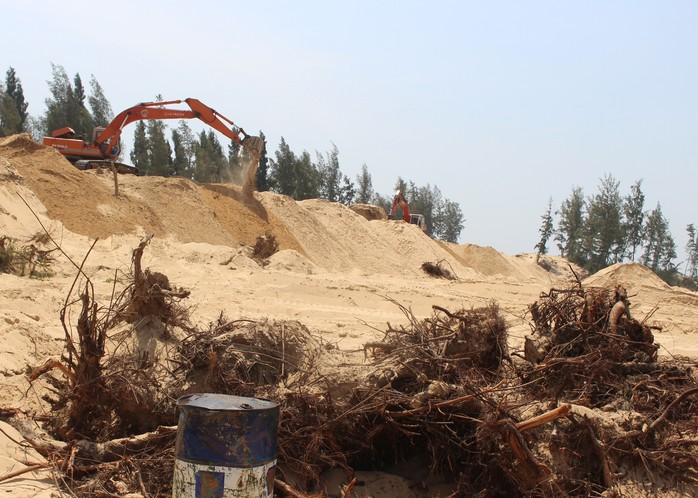 Phú Yên: Hàng loạt cơ quan bị kiểm điểm liên quan các dự án phá rừng - Ảnh 3.