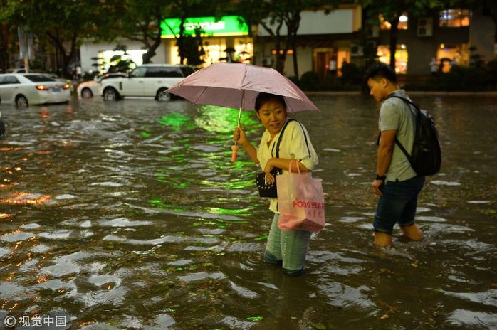 “Mưa” bạch tuộc, sao biển và tôm ở Trung Quốc - Ảnh 7.