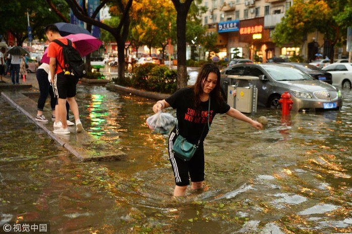 “Mưa” bạch tuộc, sao biển và tôm ở Trung Quốc - Ảnh 6.