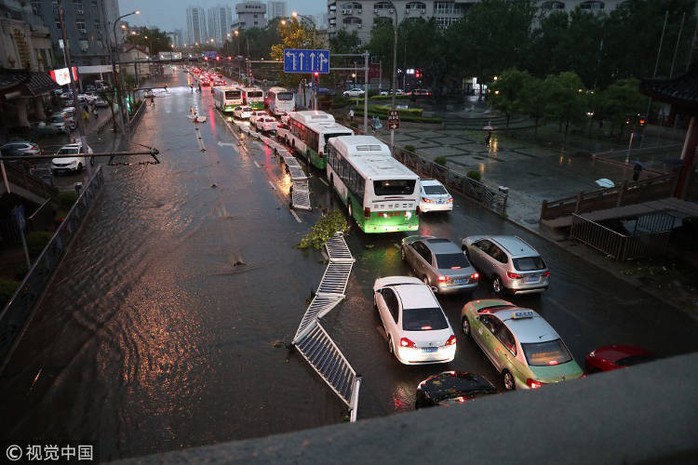 “Mưa” bạch tuộc, sao biển và tôm ở Trung Quốc - Ảnh 5.