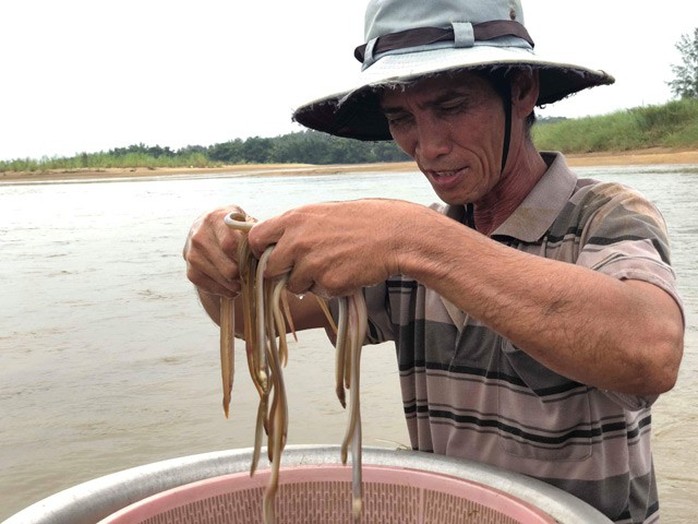 Cao thủ bật mí tuyệt chiêu săn lịch trên sông Trà Khúc - Ảnh 8.