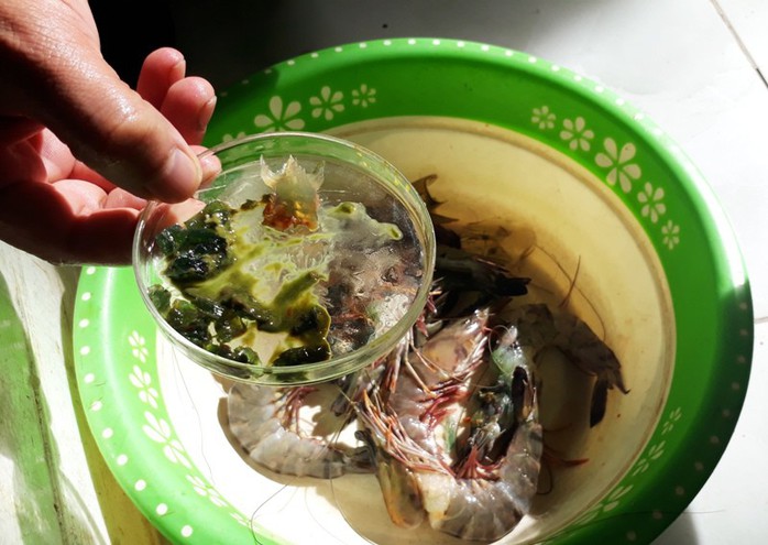 Phát hiện 2 cửa hàng hải sản ở Sầm Sơn bán tôm bơm tạp chất độc hại - Ảnh 2.