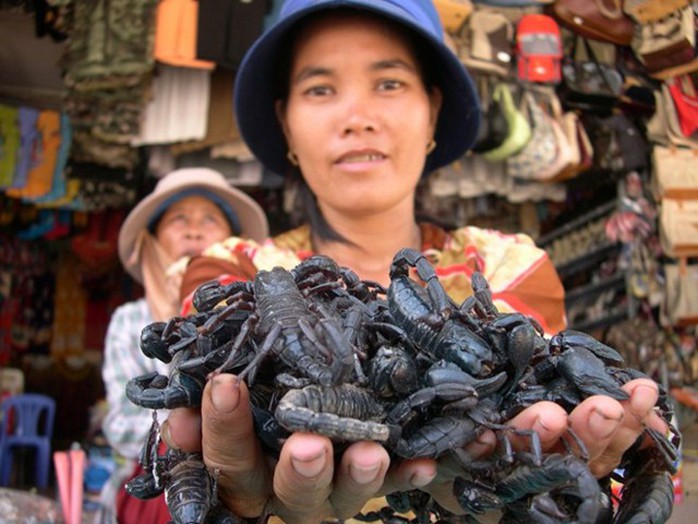 Khóc thét với đặc sản có nọc độc vùng Bảy Núi - Ảnh 1.