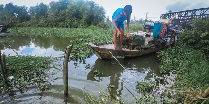 Nửa đêm theo dấu những đàn cá sông ở miền Tây - Ảnh 6.