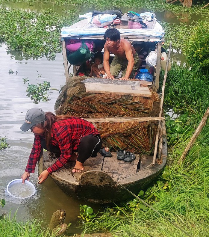 Nửa đêm theo dấu những đàn cá sông ở miền Tây - Ảnh 2.