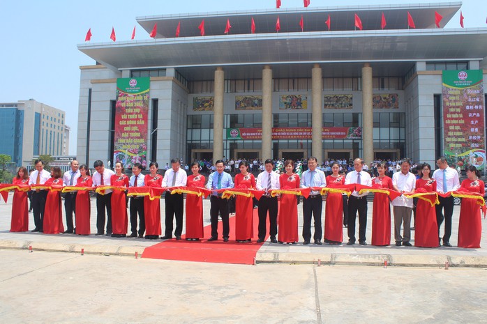 Đến Co.opmart ngắm cây vải và mua vải thiều Lục Ngạn chính gốc - Ảnh 2. Đến Co.opmart ngắm cây vải và mua vải thiều Lục Ngạn chính gốc - Ảnh 2.