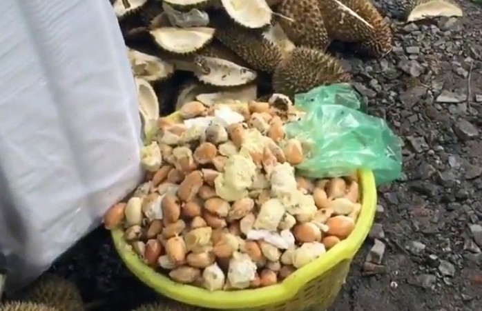 Thực hư về “sầu riêng ăn trả hạt giá 15.000 đồng/kg - Ảnh 4.