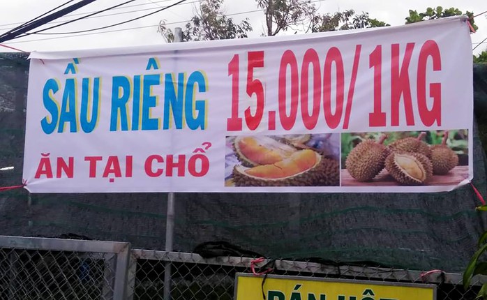 Thực hư về “sầu riêng ăn trả hạt giá 15.000 đồng/kg - Ảnh 1.