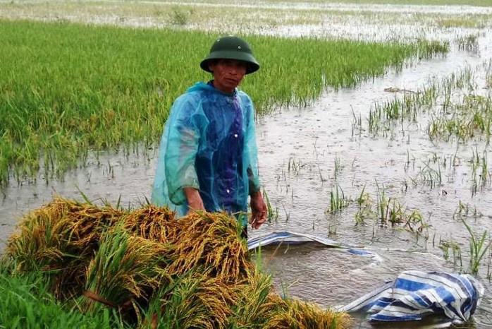 Hơn 2.000 thanh niên giúp dân di dời đồ đạc tránh bão Sơn Tinh - Ảnh 5.