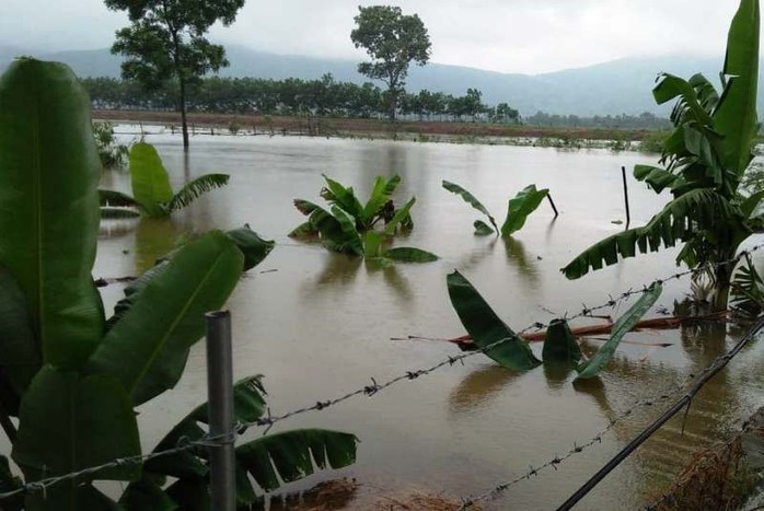 Hơn 2.000 thanh niên giúp dân di dời đồ đạc tránh bão Sơn Tinh - Ảnh 3.