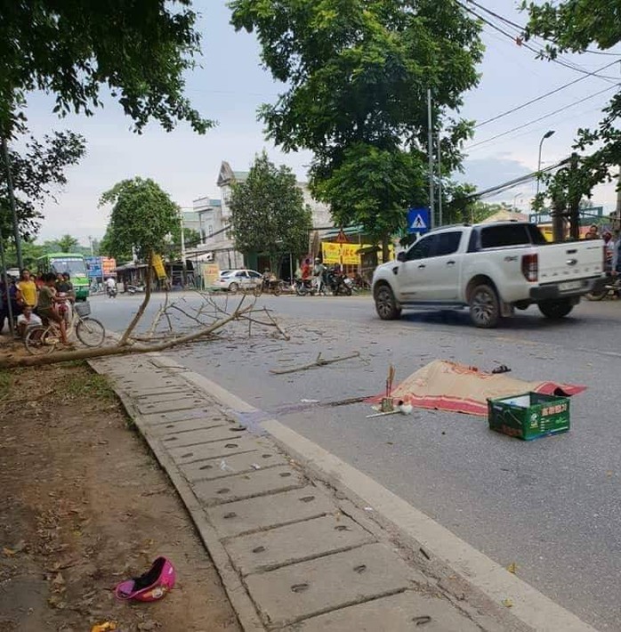 Bị cành cây rơi trúng xe máy, chồng tử vong, vợ bị thương - Ảnh 1.