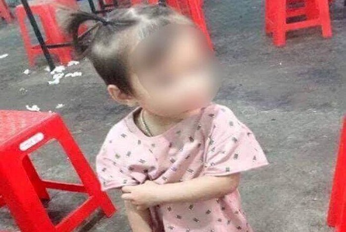 Bé gái 2 tuổi mất tích bí ẩn khi chơi trước sân nhà - Ảnh 1.