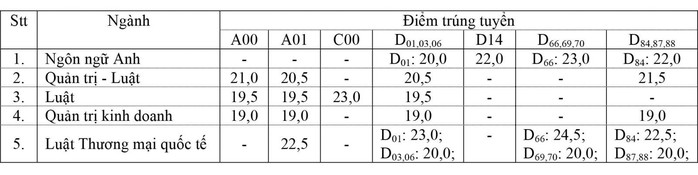 Trường ĐH Ngoại thương, ĐH Luật TP HCM công bố điểm trúng tuyển - Ảnh 2.